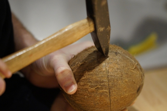Kokosnuss öffnen mit einem Hammer